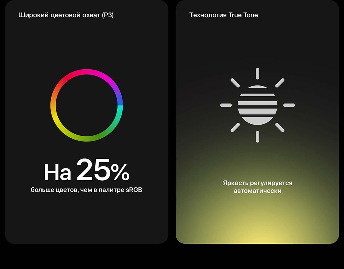 Apple MacBook Pro 13 (M1, 2020)